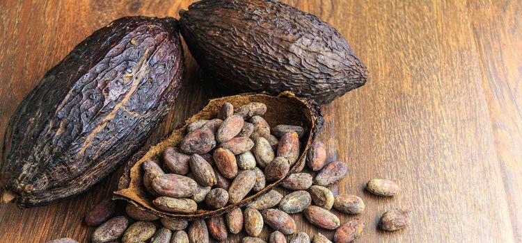 Kakaótermés és kakaóbab közelről, mert az étcsoki jótékony hatásai innen származnak. Kakaótermés és kakaóbab faasztalon, az étcsoki jótékony hatásai innen indulnak.